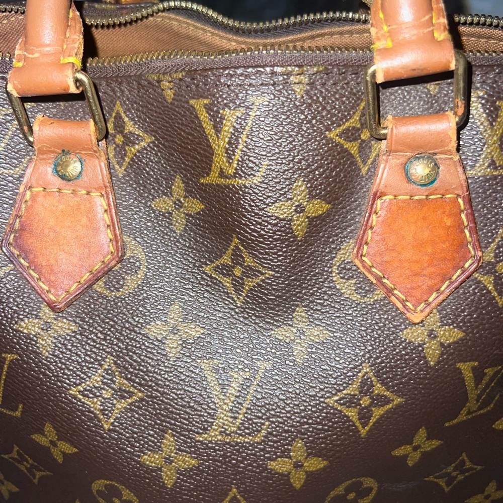 Louis Vuitton Brown Interior Handbag